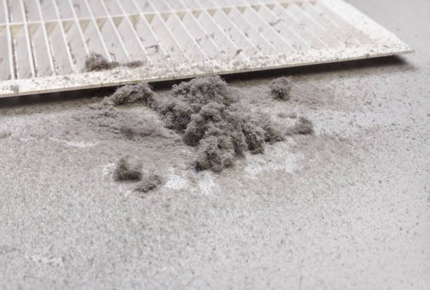 Best Affordable Duct Cleaning Services  in New Bremen, OH