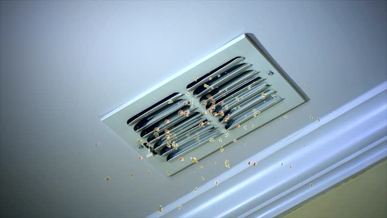 Best HVAC Air Duct Cleaning  in New Bremen, OH