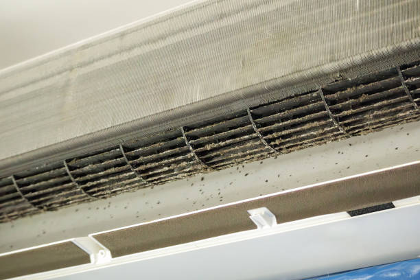Best Duct Cleaning for Offices  in New Bremen, OH