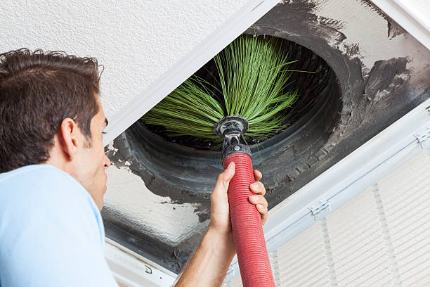 Best Air Vent Cleaning Services  in New Bremen, OH